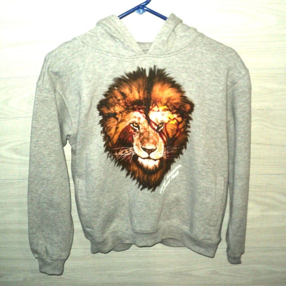 Living Treasures Lion Hoodie Sweatshirt Boys Size Large Gray Kid U Not Brand